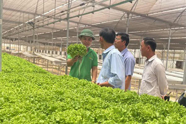 KN Investment Group muốn đầu tư 4 dự án nông nghiệp công nghệ cao tại Đồng Nai 7 kn investment