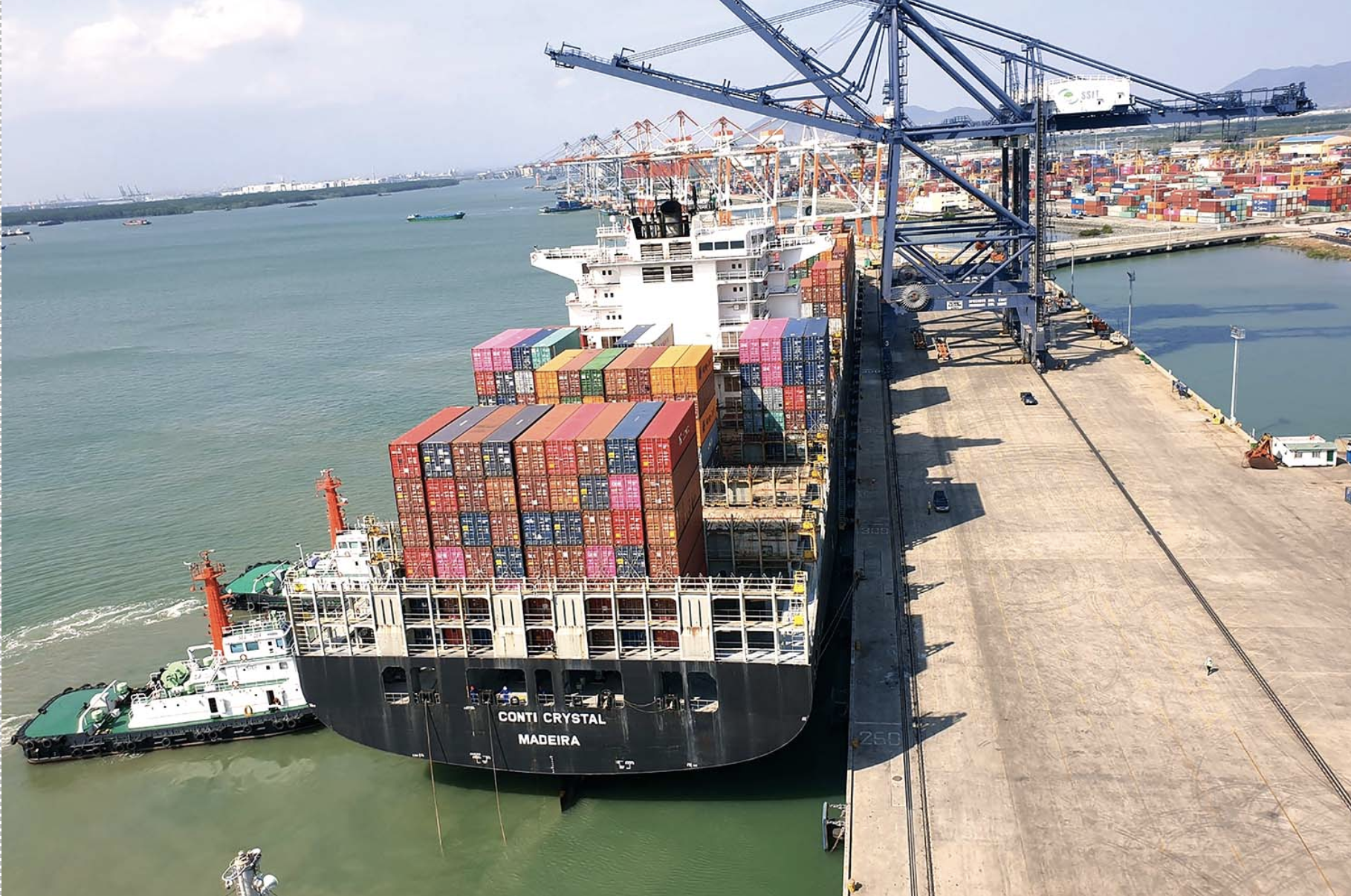 Ẩn số trong phương án thoái vốn nhà nước tại VIMC 7 Anh man hinh 2024 04 19 luc 09.54.52