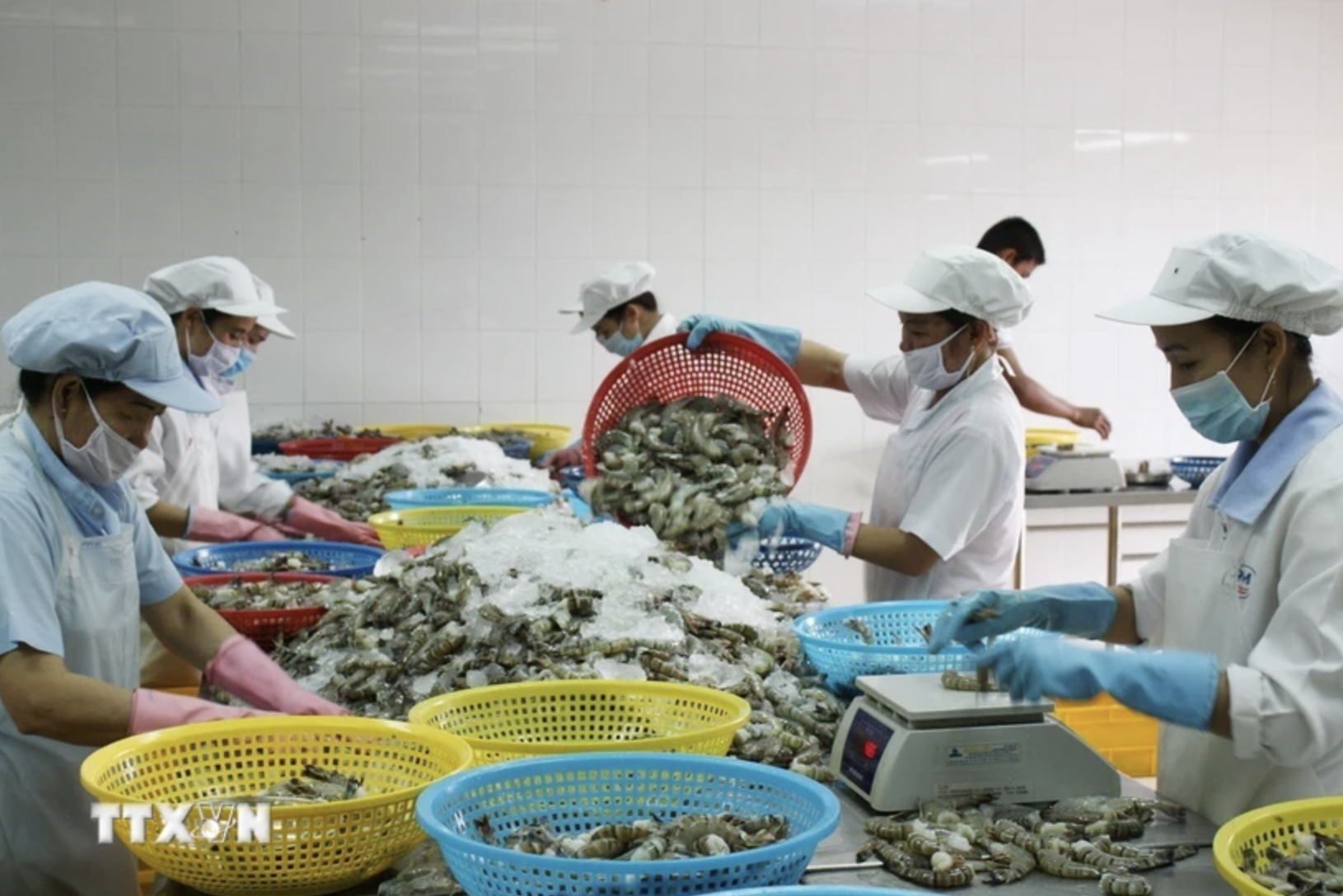 Kết nối giao thương giữa doanh nghiệp tỉnh Cà Mau và doanh nghiệp Trung Quốc 7 Cà Mau