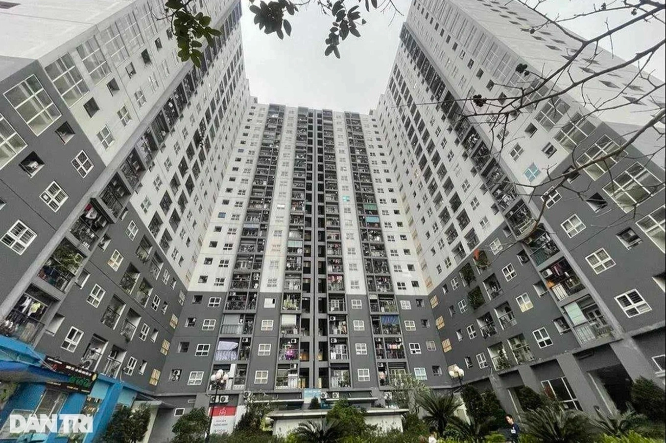 Đề xuất tăng lợi nhuận cho chủ đầu tư nhà ở xã hội lên 13% 8 chủ đầu tư nhà ở xã hội