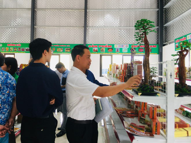 Bỏ thuế khoán, các hộ kinh doanh sẽ phải sử dụng hóa đơn điện tử 8 thuế khoán hóa đơn điện tử