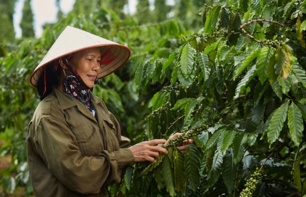 xuất khẩu nông lâm thủy sản