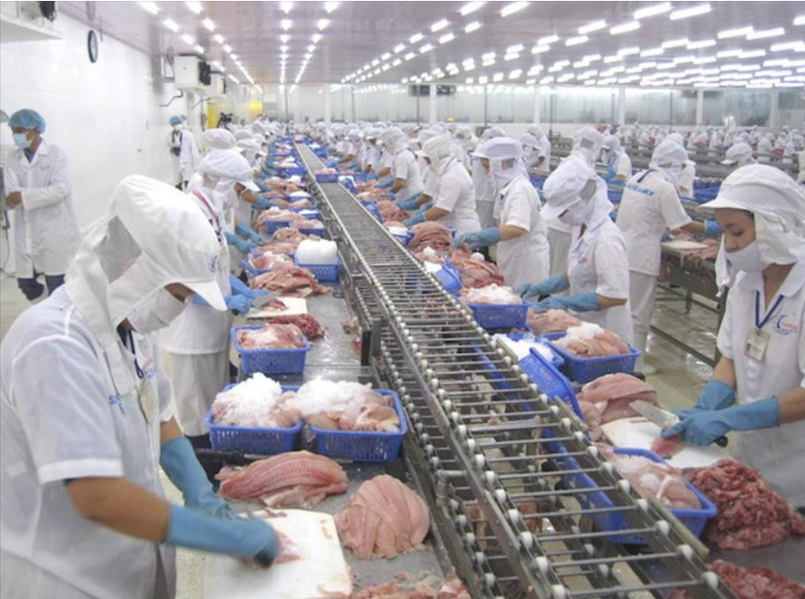 Xuất khẩu nông lâm thủy sản: Đòn bẩy tăng trưởng từ đa dạng hóa thị trường, sản phẩm 8 xuất khẩu nông lâm thủy sản