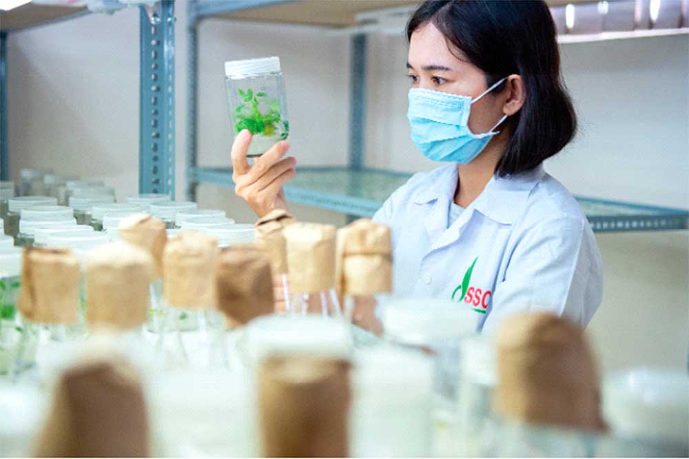 Chủ tịch Vinaseed: Chuyển mình để dẫn đầu, không chỉ để tồn tại 7 aaaaaaaaa