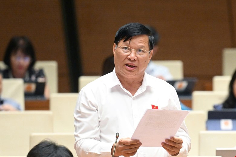 Dự án Vành đai 4 TP.HCM với các giải pháp ổn định nguồn cung vật liệu 9 db tran van tien