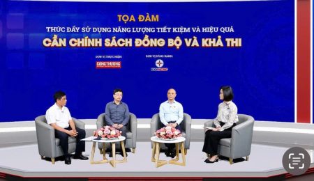 chính sách sử dụng năng lượng