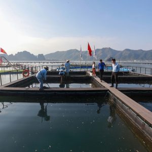 đầu tư vào nông nghiệp