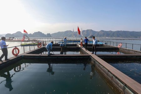 Thu hút đầu tư vào nông nghiệp: Hoàn thiện những chính sách sát thực tiễn 7 đầu tư vào nông nghiệp